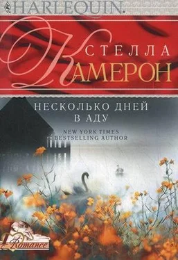 Стелла Камерон Несколько дней в аду обложка книги