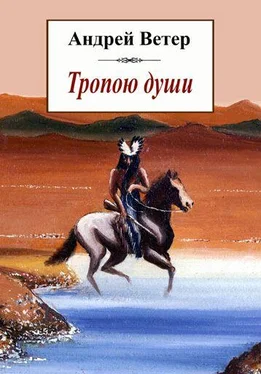 Андрей Ветер Тропою души обложка книги