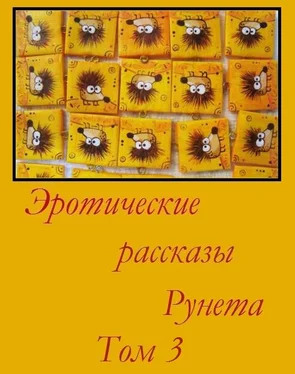 Неизвестный Автор Эротические рассказы Рунета - Том 3 обложка книги