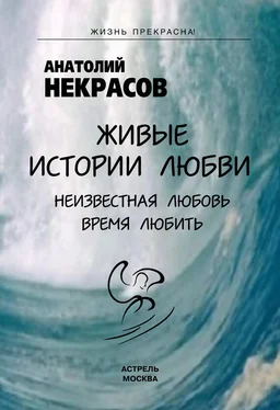 Анатолий Некрасов Живые истории любви обложка книги