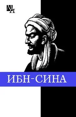 Артур Сагадеев Ибн-Сина (Авиценна) обложка книги