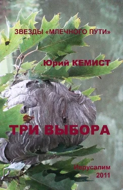Юрий Кемист Три выбора обложка книги