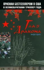 Энди Оукс - Глаз дракона