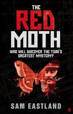 Sam Eastland Red Moth обложка книги