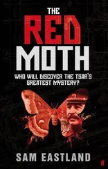 Sam Eastland - Red Moth