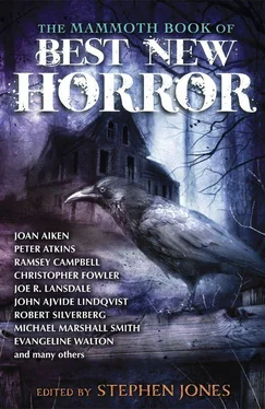 Stephen Jones The Mammoth Book of Best New Horror. Volume 23 обложка книги