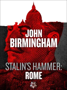 John Birmingham Stalin's hammer:Rome обложка книги