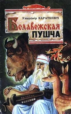 Уладзімір Караткевіч Белавежская пушча (прадмова да кнігі) обложка книги