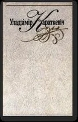 Уладзімір Караткевіч - Крытыка