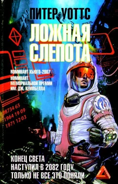 Питер Уоттс Ложная слепота обложка книги