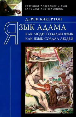 Дерек Бикертон Язык Адама: Как люди создали язык, как язык создал людей обложка книги