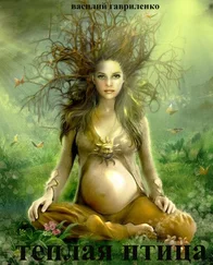 Василий Гавриленко - Теплая Птица (отредактированный вариант с альтернативной концовкой)