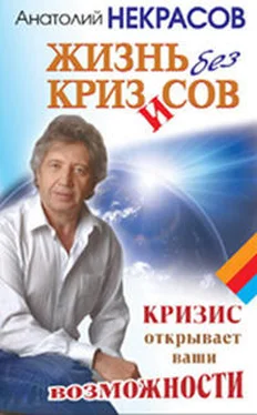 Анатолий Некрасов Жизнь без кризисов. Кризис открывает ваши возможности обложка книги