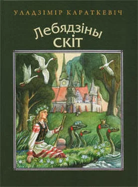 Уладзімір Караткевіч Вераб'ёва цешча обложка книги