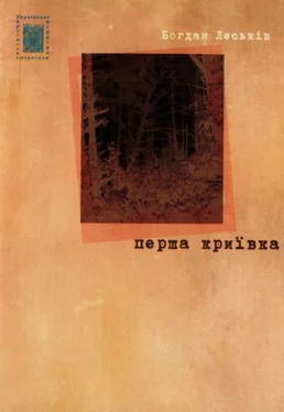 Богдан Леськів Перша криївка (Екскурс в нашу юність) обложка книги