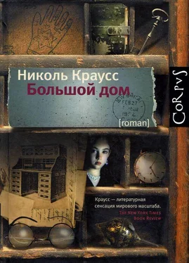 Николь Краусс Большой дом обложка книги