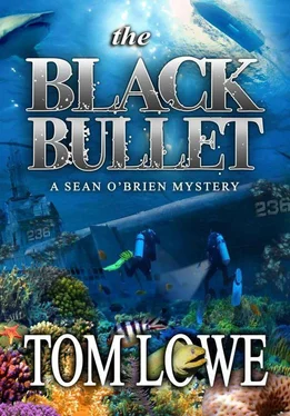 Tom Lowe The Black Bullet обложка книги