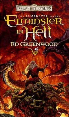 Ed Greenwood Elminster in Hell обложка книги