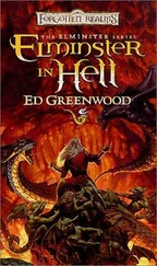 Ed Greenwood - Elminster in Hell