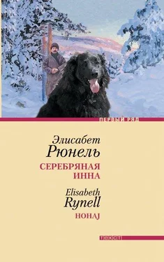 Элисабет Рюнель Серебряная Инна обложка книги