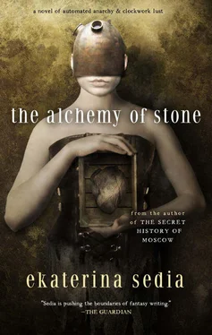 Ekaterina Sedia The Alchemy of Stone обложка книги