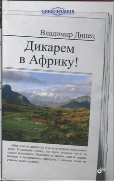 Владимир Динец Дикарем в Африку! обложка книги