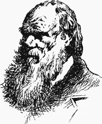 Чарлз Дарвин В книге Дарвина впервые приводились убедительные доказательства - фото 13