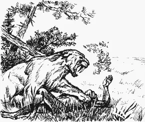 Но саблезубый тигр не упускал намеченной жертвы Он настиг человека сбил его с - фото 18