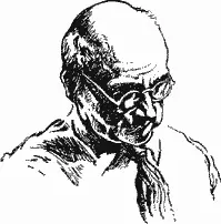 Франц Вейденрех Однако со смертью Блэка исследования синантропа не - фото 22