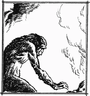 Но как бы то ни случилось мы знаем что синантропу из Чжоукоудяня огонь уже - фото 23