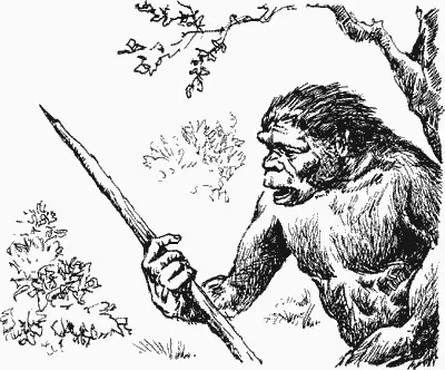 Сквозь редколесье тянувшееся вдоль берега широкой реки крались несколько - фото 24