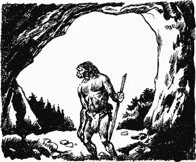 Над сплетением пышных трав над густыми зарослями аира и островками высокого - фото 27