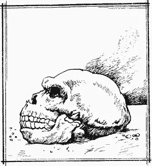 И снова как о большой удаче можно говорить о том что найденные в - фото 28