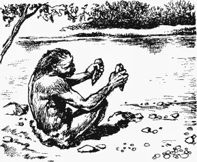 Мам подошел последним Увидев множество кремневых конкреций он подумал какое - фото 34