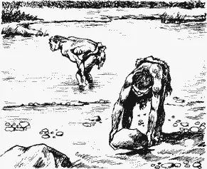 Мам подошел последним Увидев множество кремневых конкреций он подумал какое - фото 35