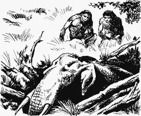 Но отчаянная борьба животного была напрасной Камни непрерывно сыпались на его - фото 40