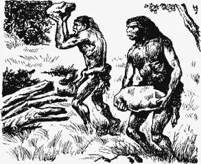 Но отчаянная борьба животного была напрасной Камни непрерывно сыпались на его - фото 41