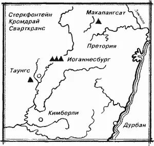 Подходил к концу 1924 год когда Раймонду А Дарту профессору анатомии - фото 6