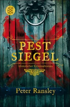 Peter Ransley Pestsiegel обложка книги