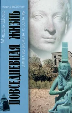 Мишель Шово Повседневная жизнь Египта во времена Клеопатры обложка книги