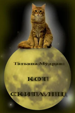 Татьяна Мудрая Кот-Скиталец обложка книги