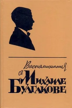 Елена Булгакова Воспоминания о Михаиле Булгакове обложка книги