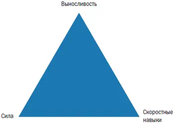 Рис 61 Треугольник базовых способностей физической подготовки триатлета В - фото 43