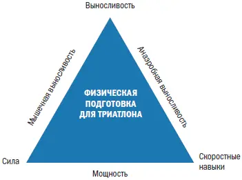 Рис 64 Треугольник особенных способностей Мышечная выносливость Мышечная - фото 46