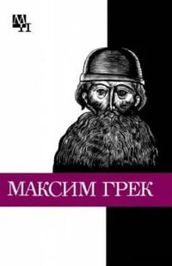 Михаил Громов Максим Грек обложка книги