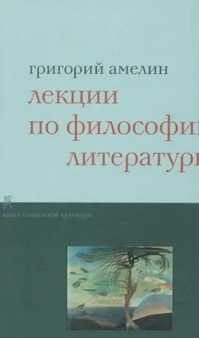 Григорий Амелин Лекции по философии литературы обложка книги