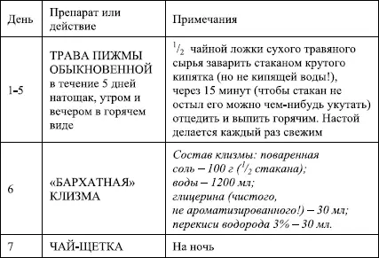 Избавление от паразитов лямблий червей глистов - фото 15