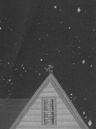 Jessy Park Dagmars House with Chimney in the Window 1984 People liked the - фото 19