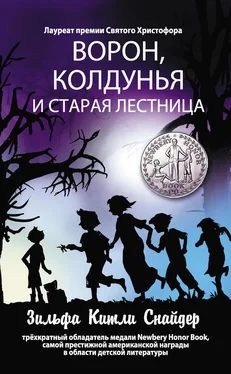 Зильфа Снайдер Ворон, колдунья и старая лестница обложка книги