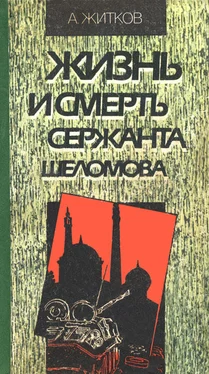 Андрей Житков Жизнь и смерть сержанта Шеломова обложка книги